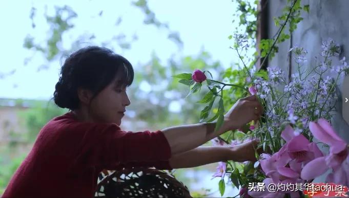 李子柒又出新视频,火爆国内外的网红李子柒