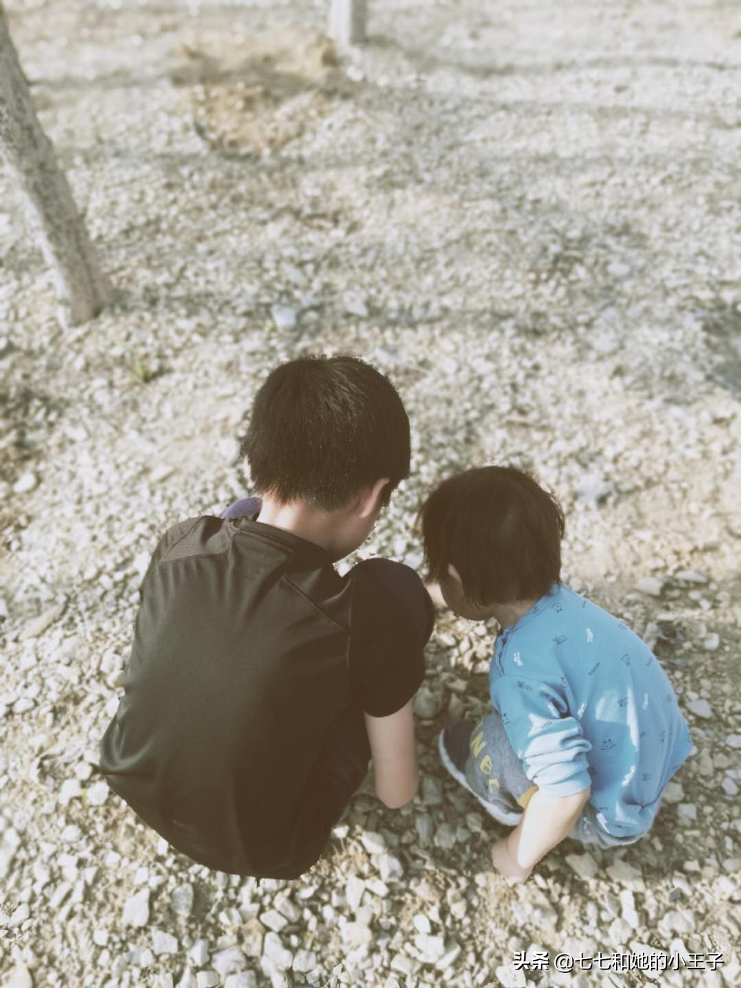 五年级下册第3单元研究报告500字,五年级下册第3单元学写研究报告