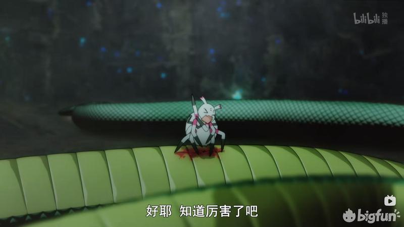 为何大家都喜欢“蜘蛛子”？其实是做人腻了