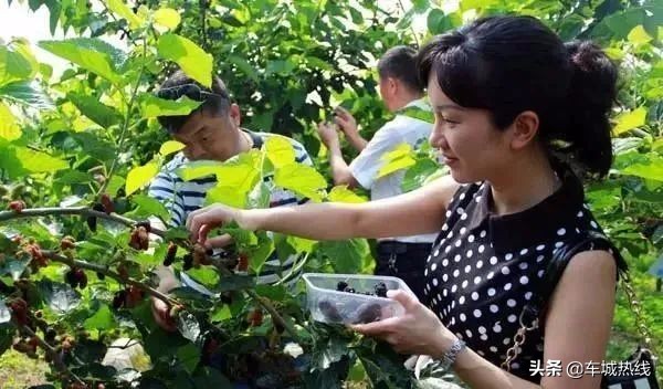 十堰市坐公交车最新要求,今天十堰公交202出行情况