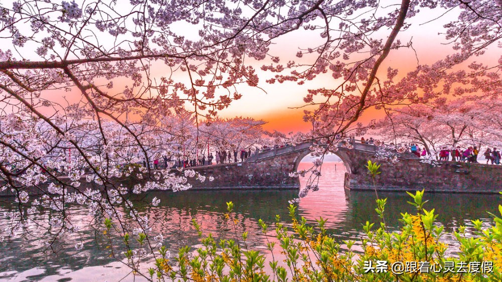 2022宁波和无锡第一季度gdp,宁波和无锡哪个城市未来发展更好