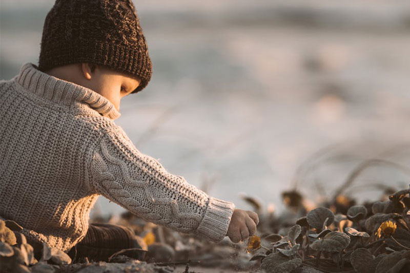 果果成长日记原声创作,果果成长日记动画