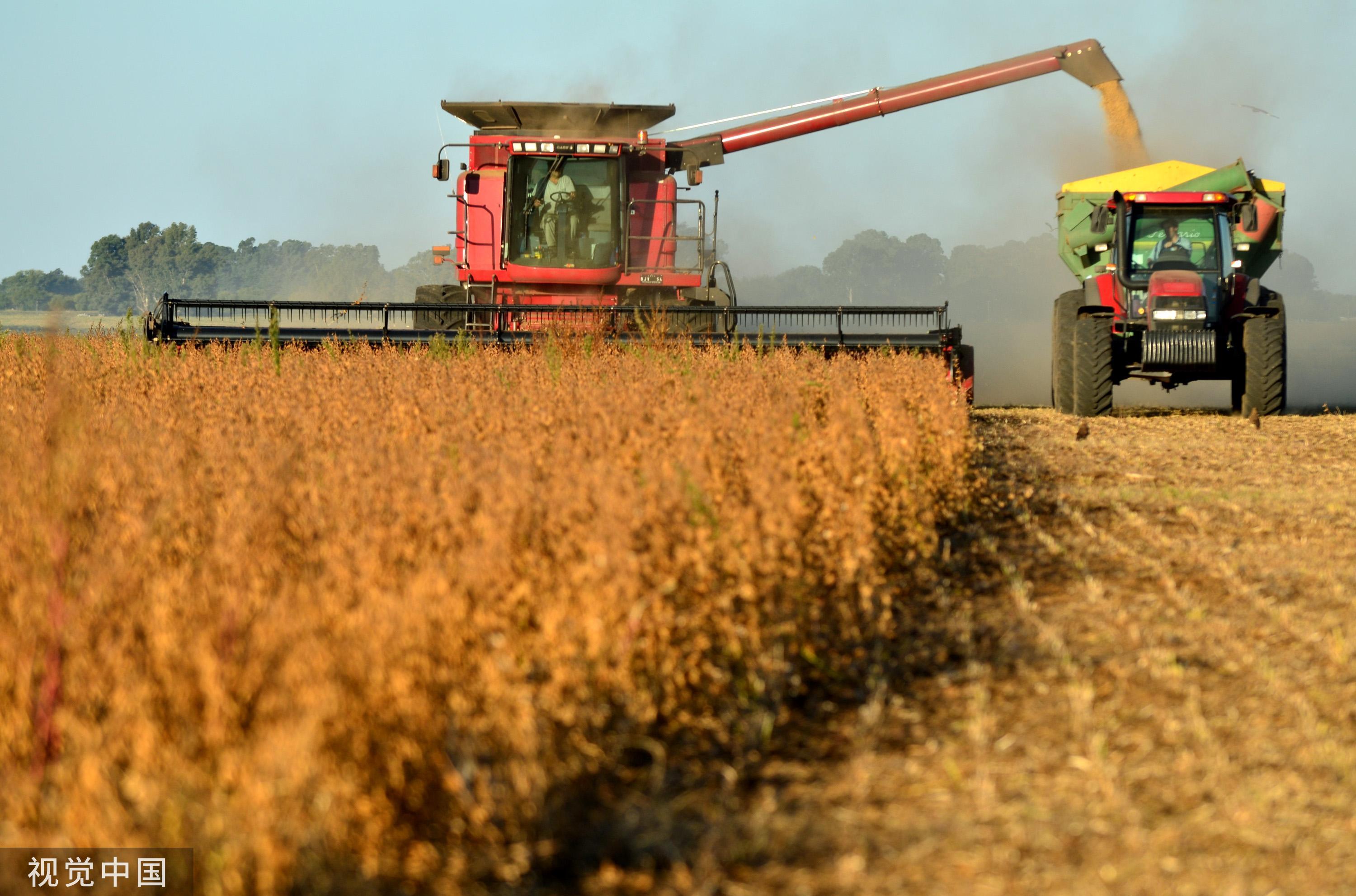 亚马逊大火灭了没,亚马孙大火辟谣