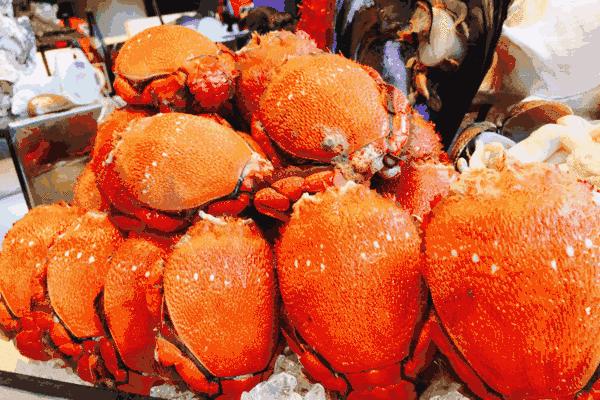 天津人借钱买奢侈品,天津人借钱吃海鲜是什么意思