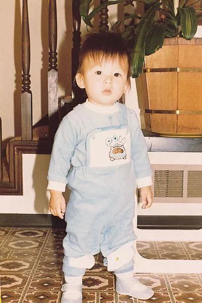 谢霆锋和游鸿明,谢霆锋邓紫棋达人反赌