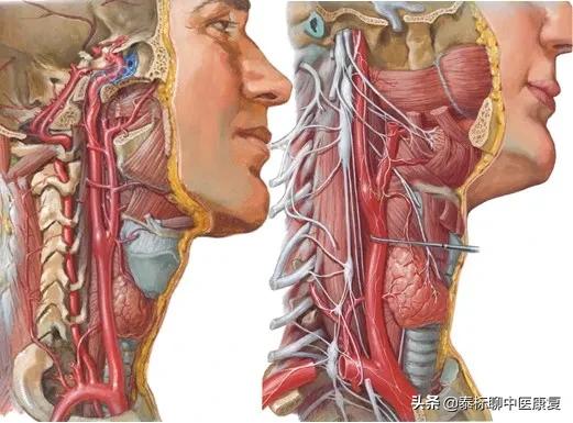 眩晕针刀,眩晕的埋线针刀治疗