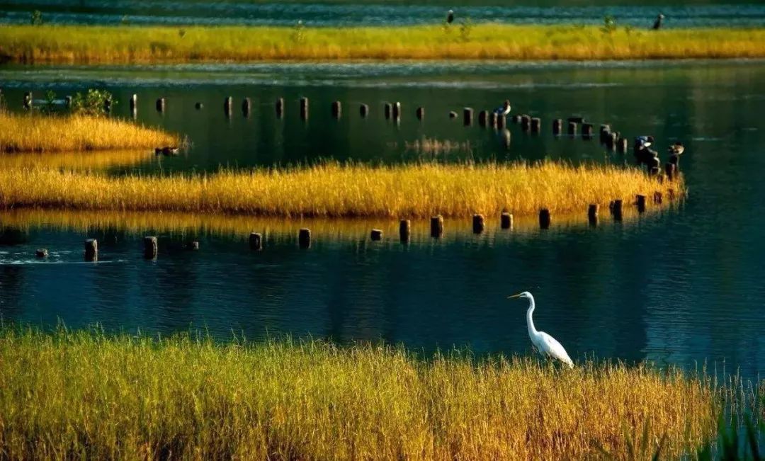 在武汉生活的100条“*规则潜**”，正宗的武汉人也未必知道