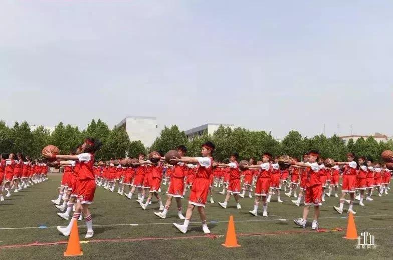 郑州哪个区小学教育最好,郑州各区教育资源大比拼郑东新区