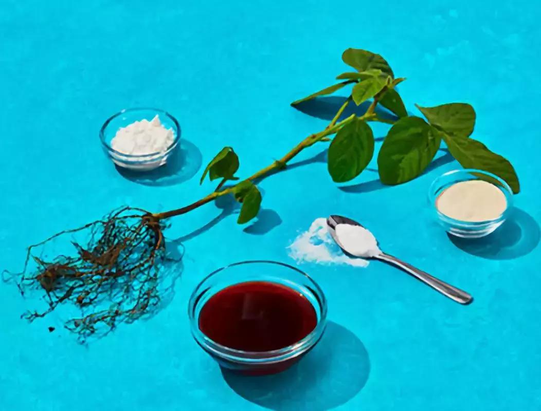 或许这一天已经到了，你吃的这块肉，不属于任何动物