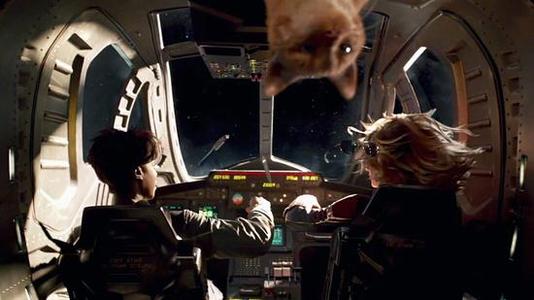 猫咪未来可期,猫咪统治人类的野心有多大