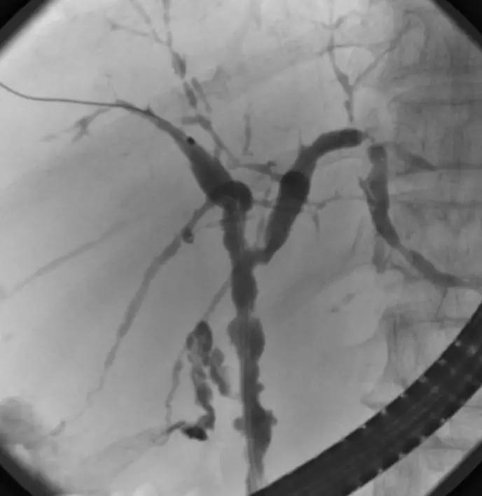 ps所有疑难杂症,ps疑难杂症