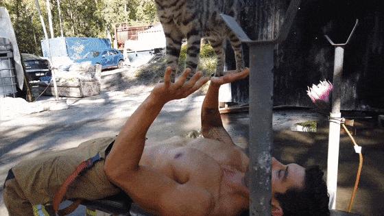 澳大利亚火场消防员,2018澳大利亚消防员