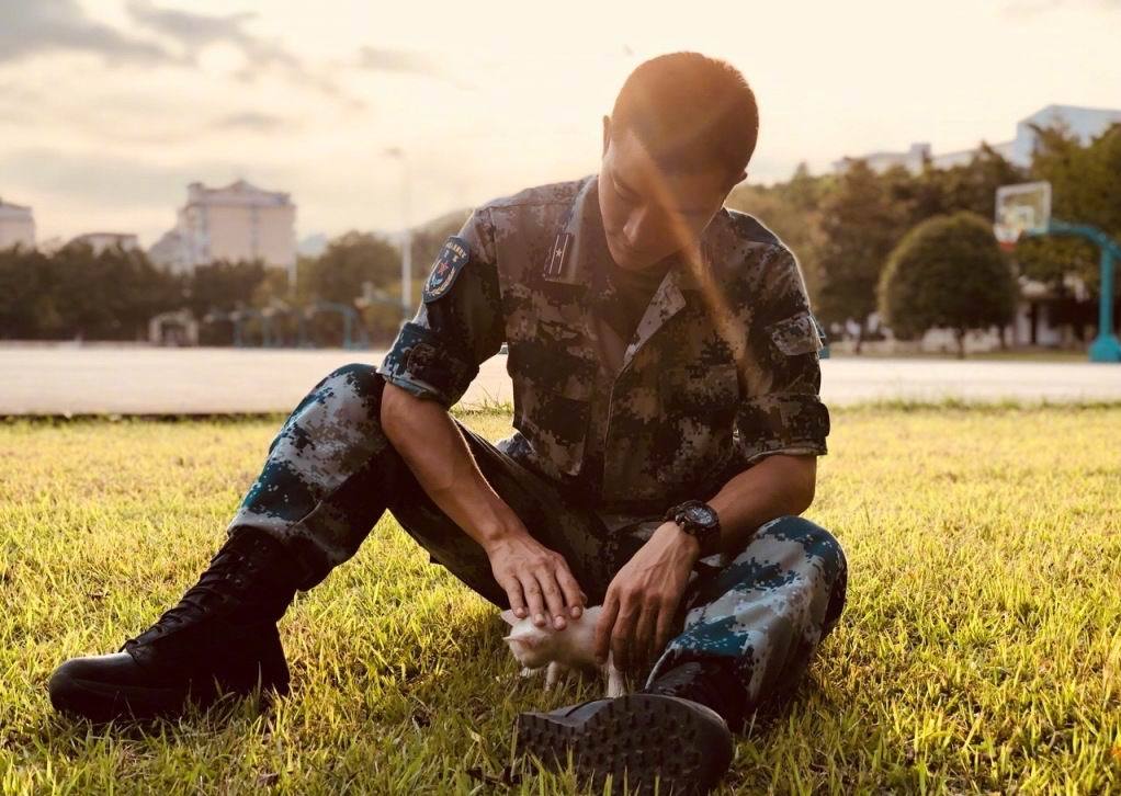 猫咪舔舐自己的伤口会怎么样,猫咪反复舔舐同一个部位是怎么了