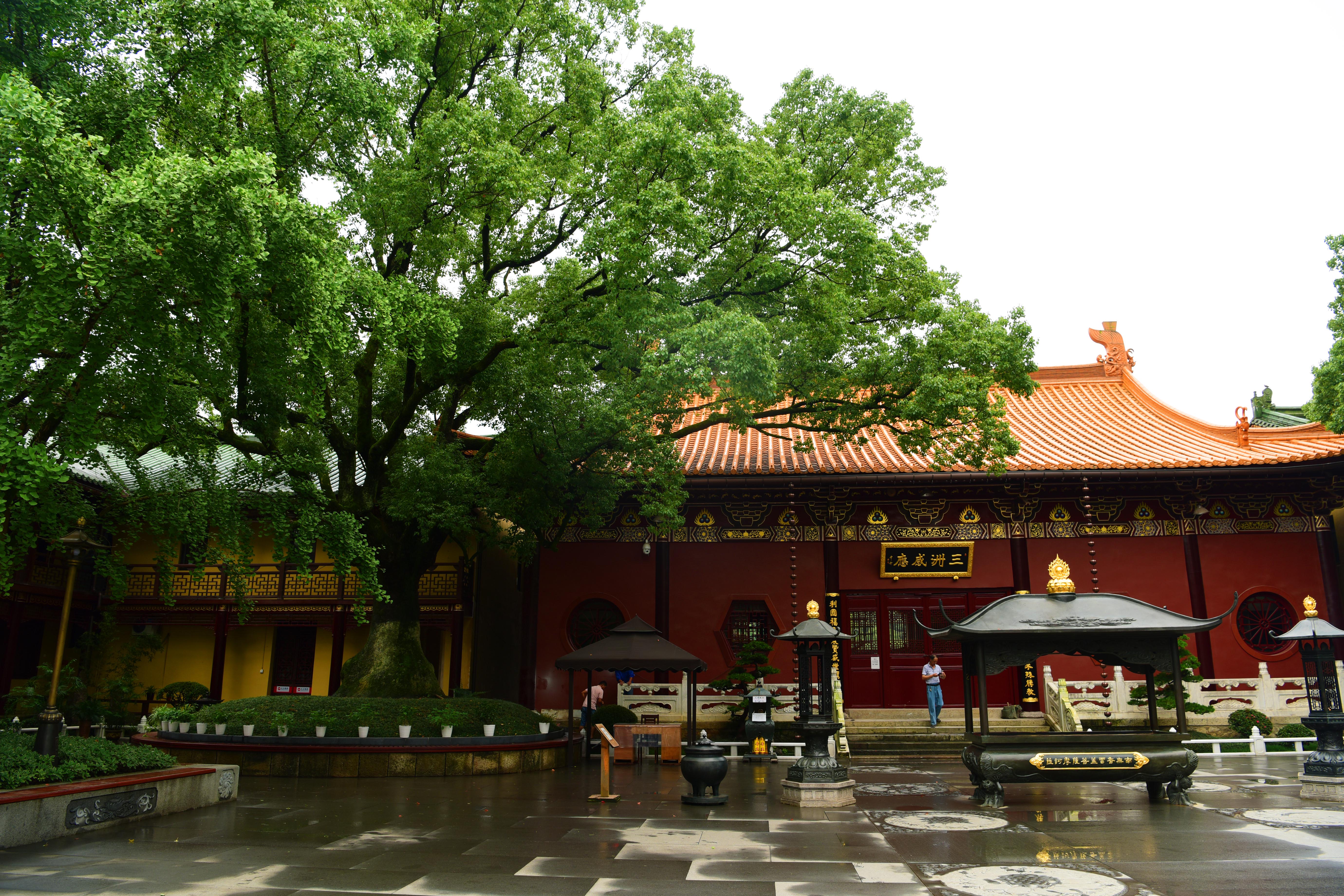 庐山东林寺，这座1600余年古刹，是中国一大佛门圣地，神奇惊叹