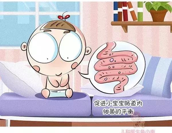 奶粉问题引发焦虑,抵抗力差的如何选奶粉