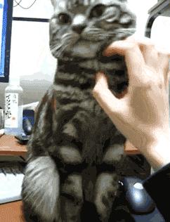 比余额宝收益高的基金,余额宝小额投资理财