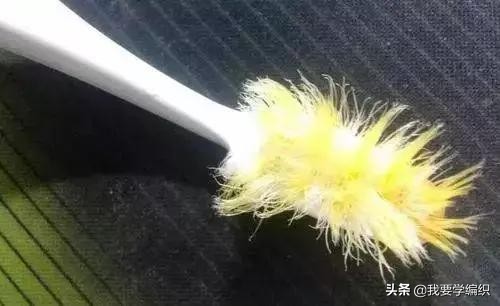 早晚刷牙了牙齿还是臭怎么回事,天天刷牙牙齿很黄很臭学会这一招