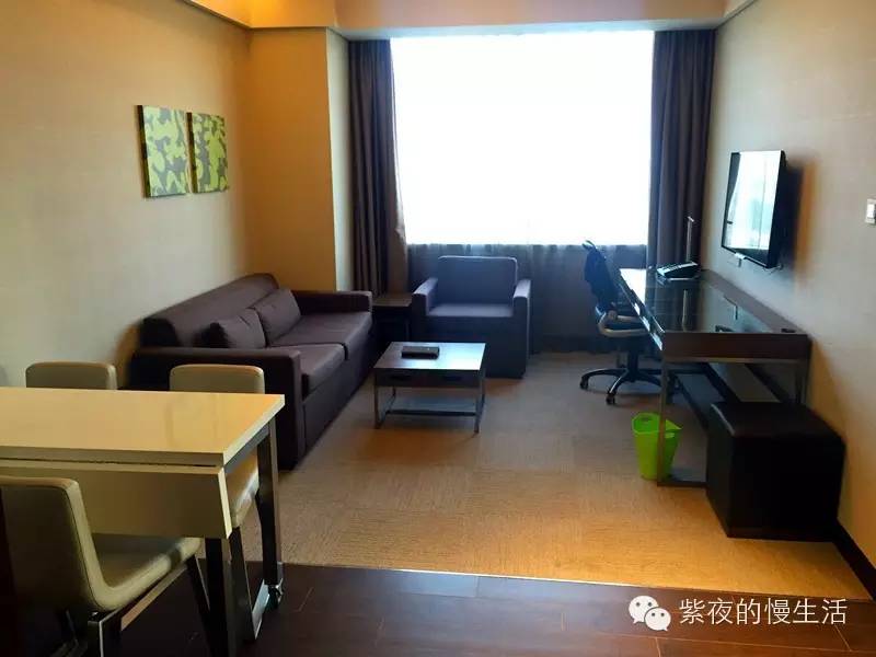 苏州带宠物去的古镇,苏州小众宠物乐园推荐