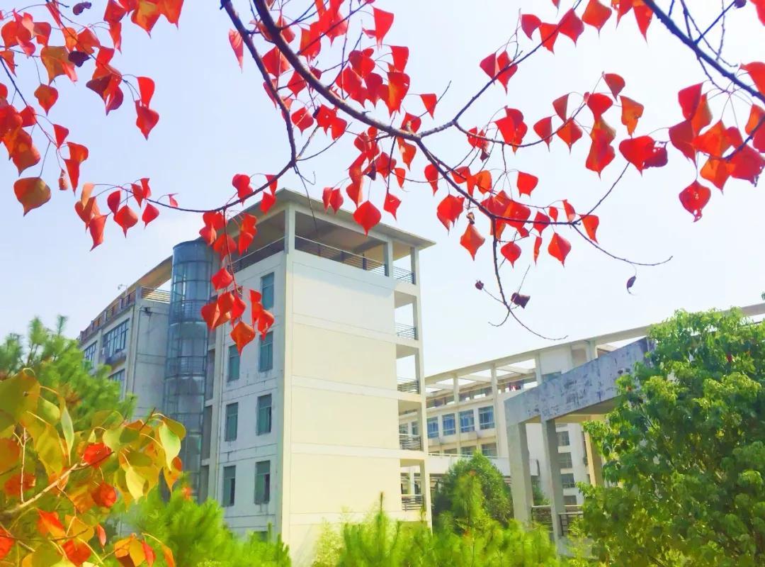 2019年武汉职业技术学院录取分数,2019年武汉职业技术学院的分数线