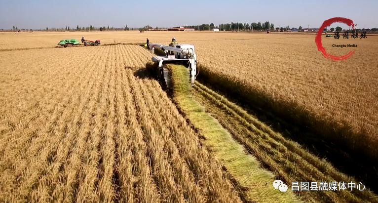 规划引领乡村振兴产业项目,支柱产业带动乡村振兴方案