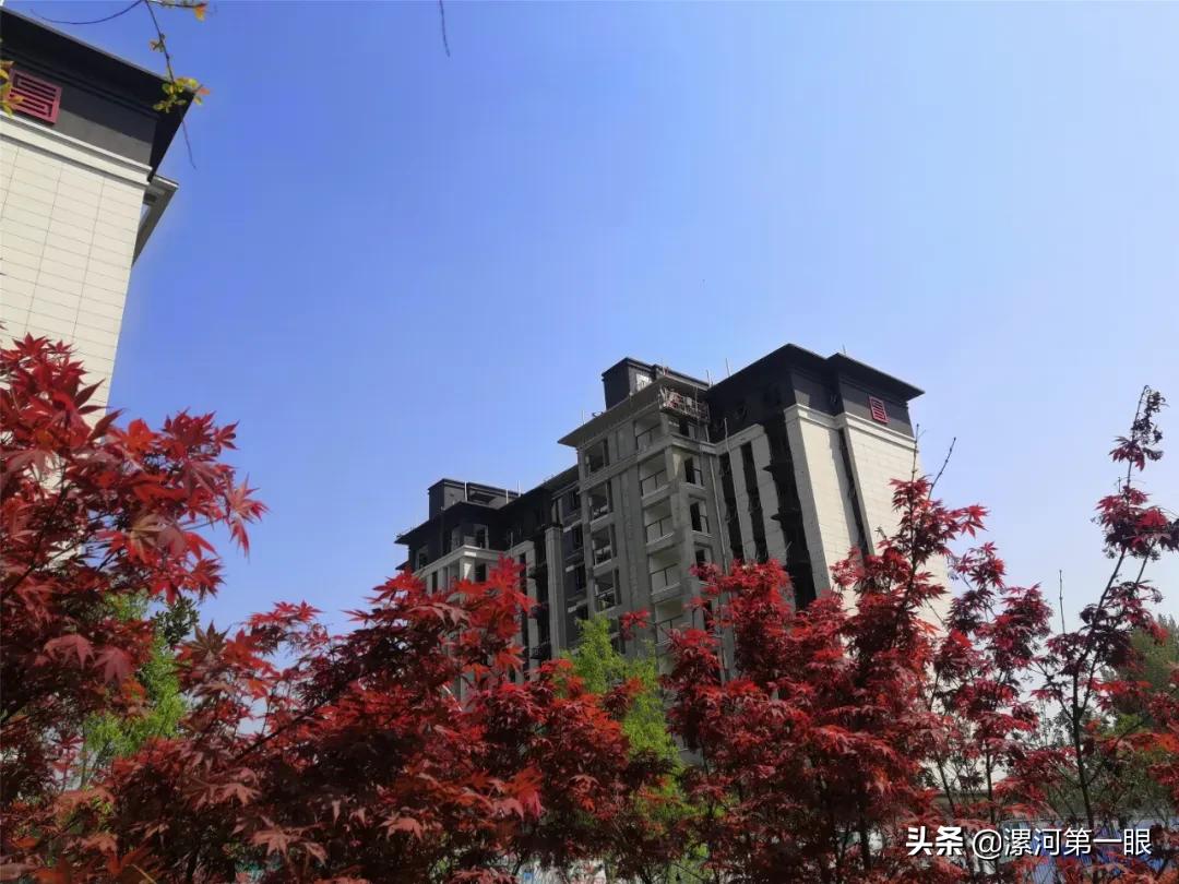 漯河沙河湿地公园在哪个位置,漯河龙湖湿地公园什么时间建好