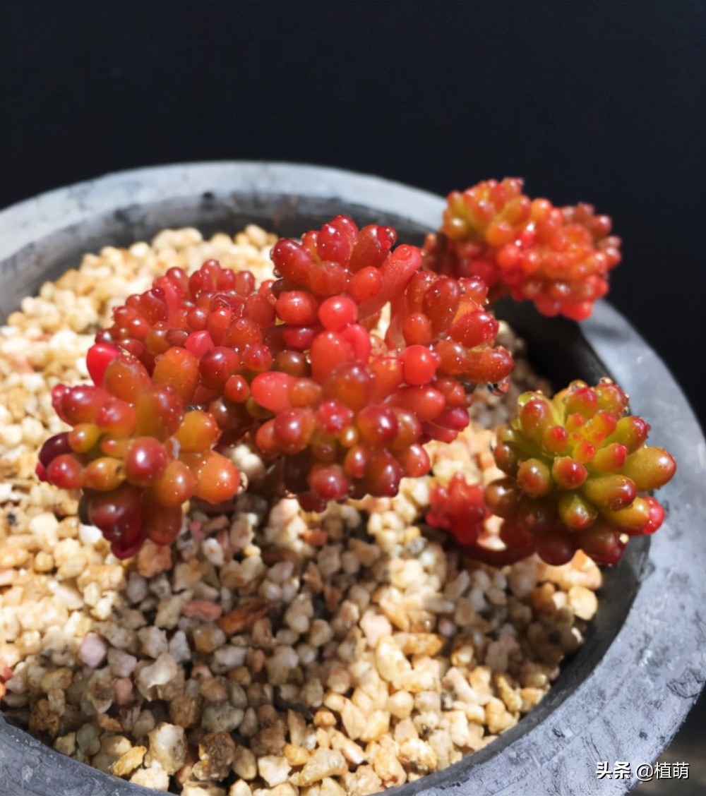 入秋后天气凉爽早晚温差较大,入秋了早晚温差大