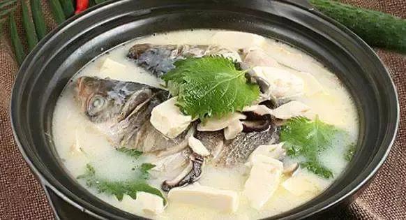 快死的鱼变活鱼，竟然只要往鱼嘴里加点这个就可以实现了