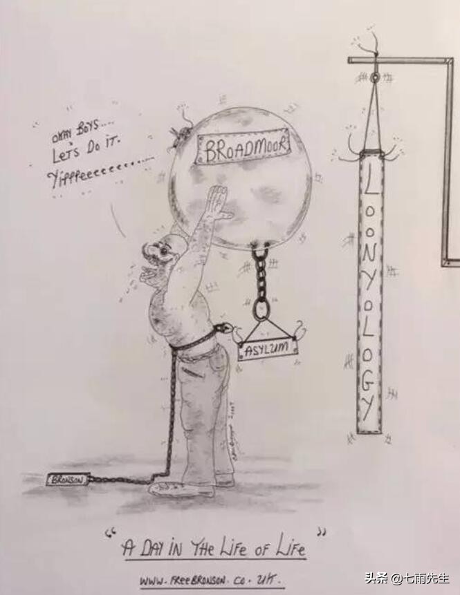 为什么弗雷尔卓德选择布隆,布隆弗雷尔卓德之心背景故事