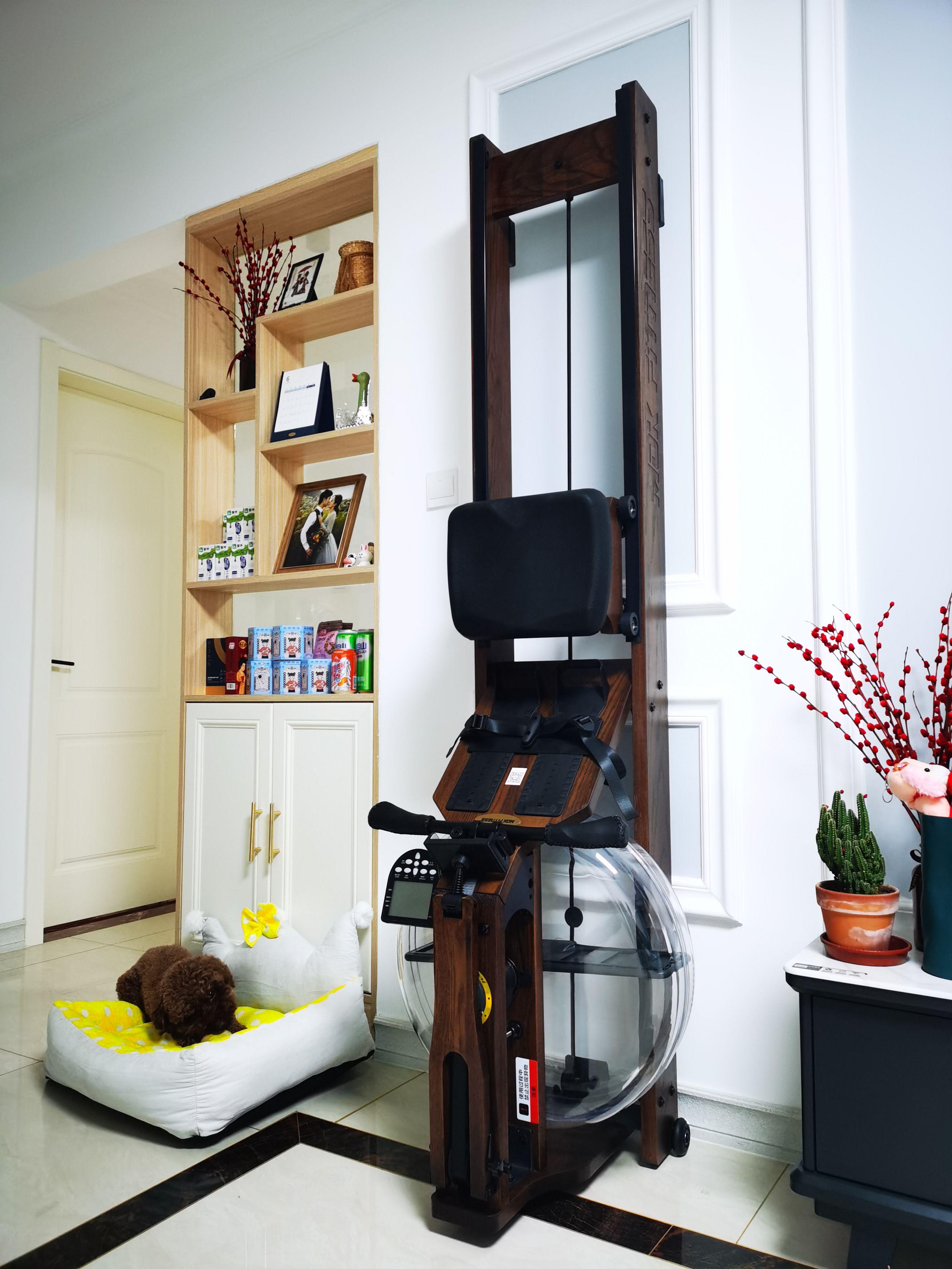 跑步机和划船机测评,划船机真的比跑步机好吗