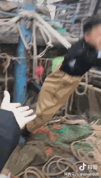 不倒翁小姐姐抖音网红,网红不倒翁小姐姐对比