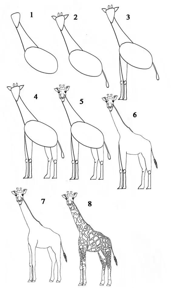 如何快速画动物简笔画,手把手教画动物简笔画