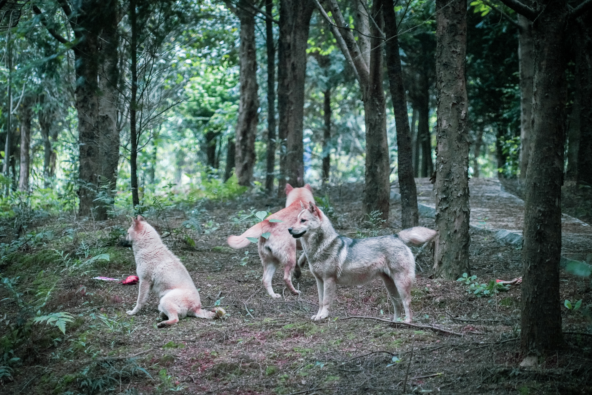 郴州仰天湖民宿多少钱一晚,郴州民宿一晚多少钱