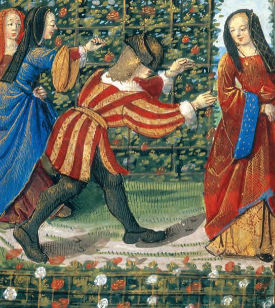 红衣主教来源,红衣主教月季分布区域