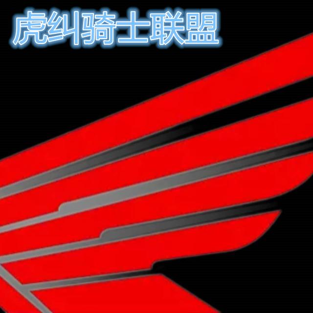 普利司通绿歌伴和耐驰客怎么选,普利司通绿歌伴和施耐客哪个好