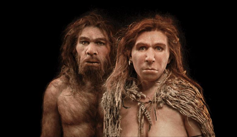 狗交配为什么要闭锁半小时？人类为什么没有进化出这种方式？