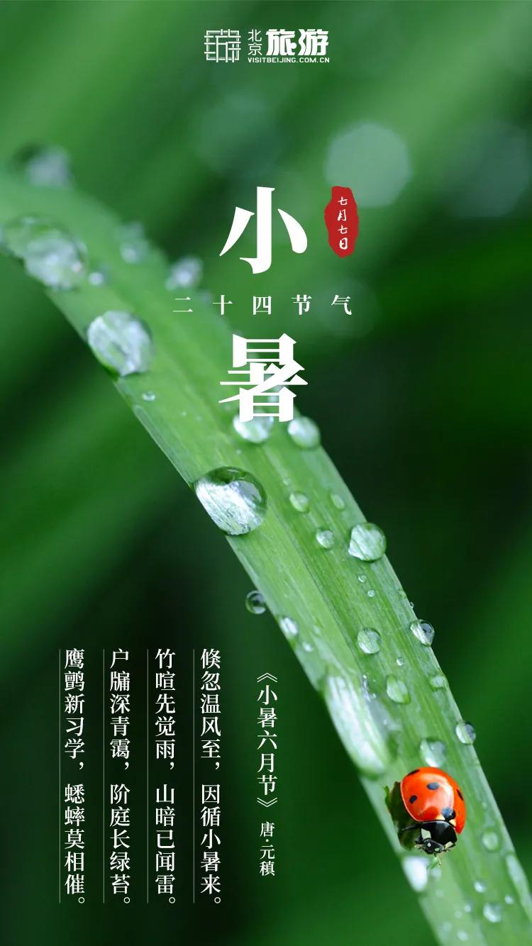 小暑福利活动,今日小暑暑热来袭如何觅得清凉