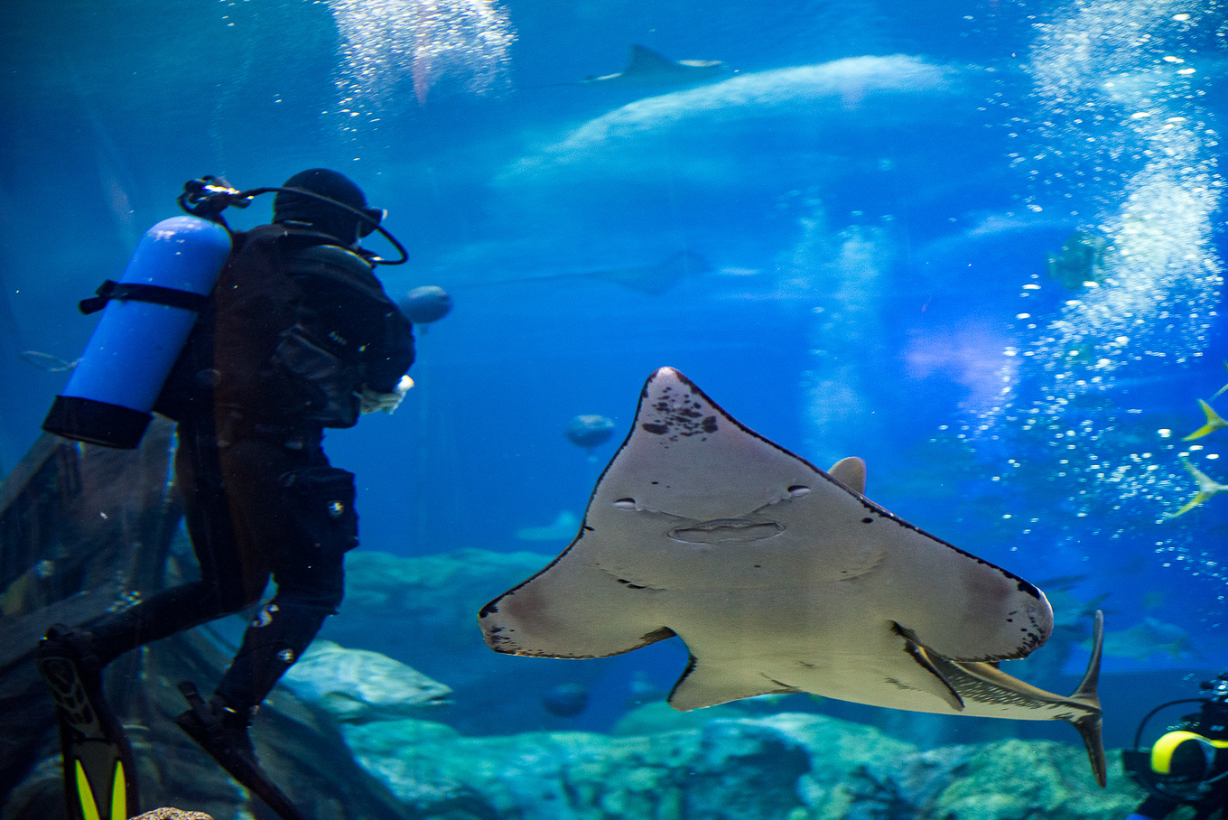 珠海长隆龙秀适合小朋友看吗,珠海长隆海洋王国值得打卡的地方