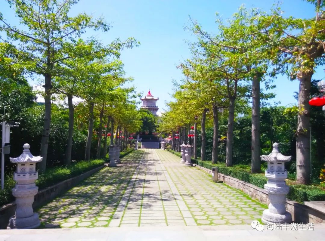 汕尾玄武山佛祖定位,汕尾玄武区