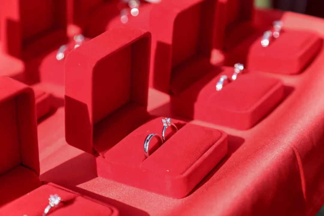 李兰娟致敬院士视频,致敬李兰娟院士的诗朗诵