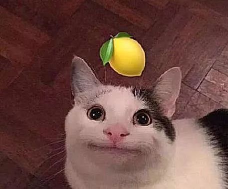 古人神奇的避孕方式，值得现代人反思