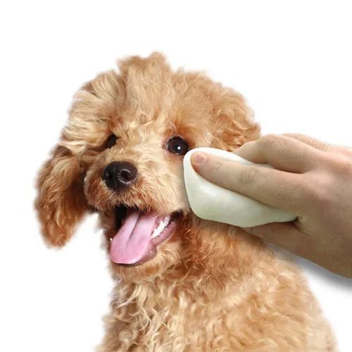 狗狗有泪痕可以用氯霉素眼药水吗,狗狗泪痕的有效处理方法