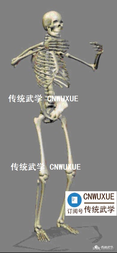 站桩音乐30分钟下载,站桩的正确姿势图解