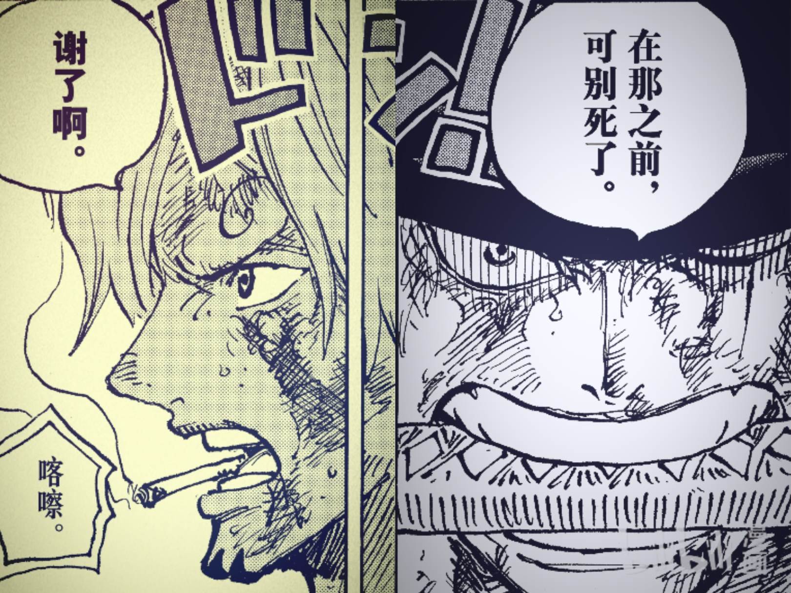 1031话海贼王全图,海贼王1031话分析