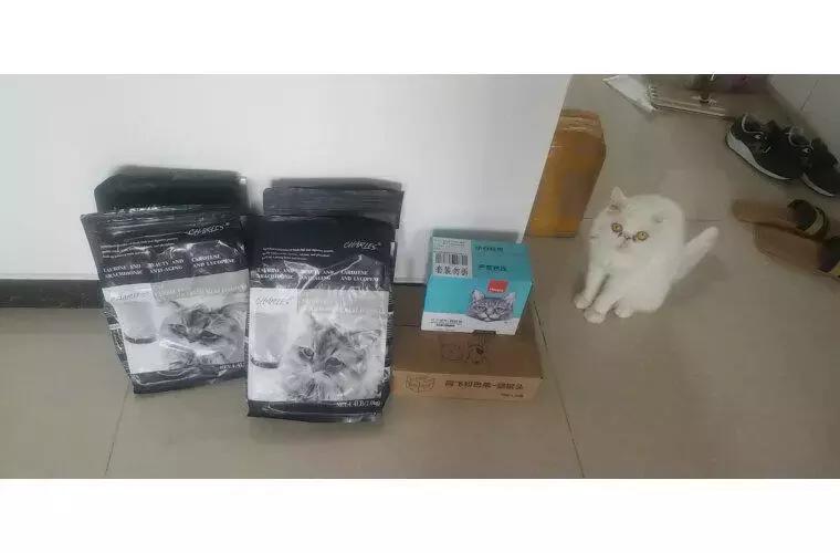 公认猫粮推荐性价比高排行榜,皇家猫粮和蓝氏猫粮测评