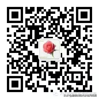 教师节送老师花还是送巧克力好,教师节小朋友送老师什么花最好