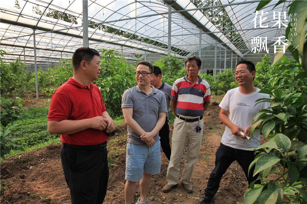 卖文化，卖创意，这家以柑橘为主题的农场好不正经