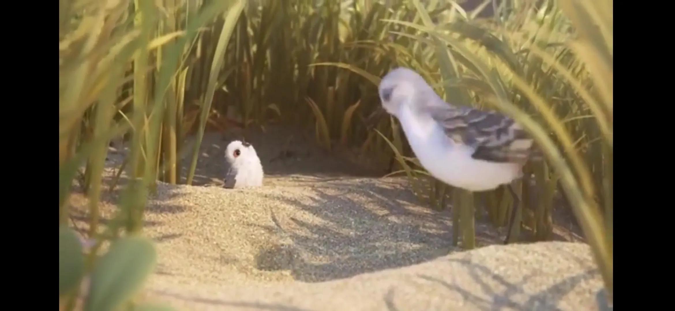 教育孩子成长的一些心得,教育孩子的正确方法和感悟