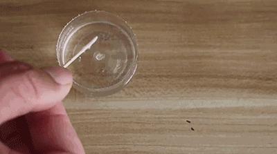 苹果手机屏幕摔碎了换屏多少钱,手机屏碎了不用花钱怎么自己修复