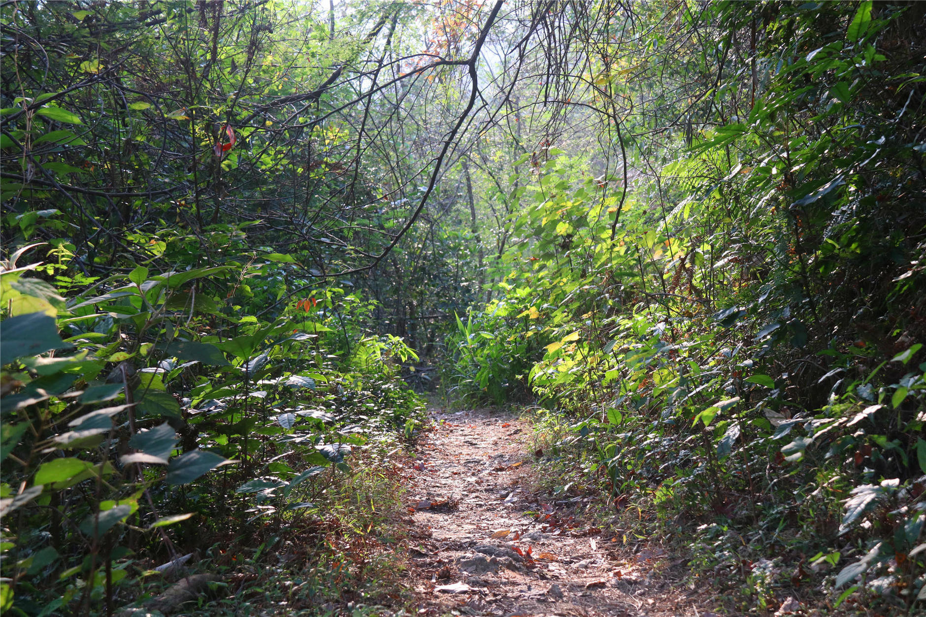 广州从化海拔1000米的山峰,从化十大最难爬的山