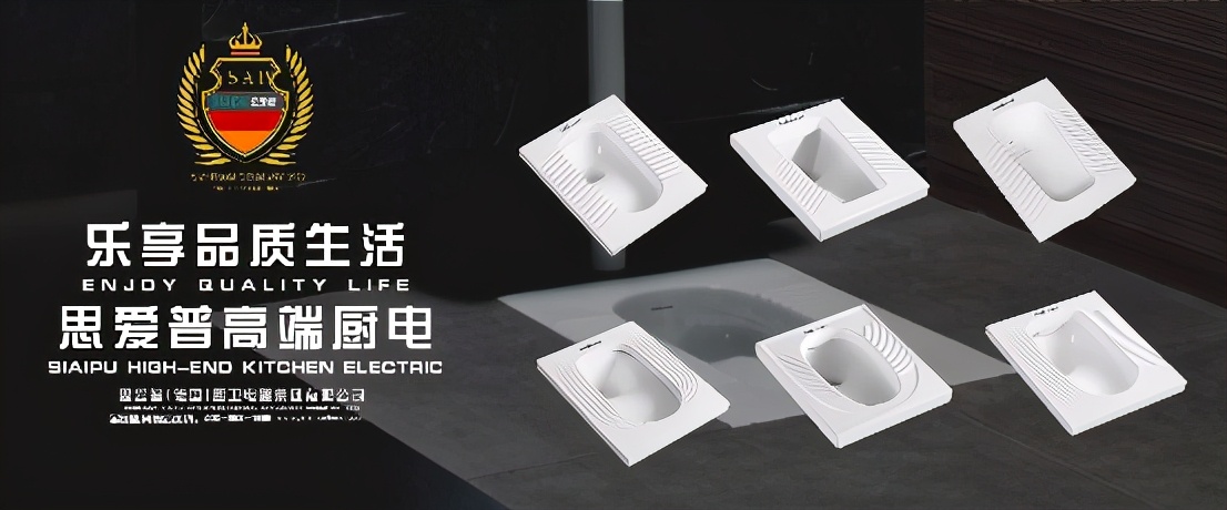 思爱普卫浴,蹲便器一般是什么牌子的好